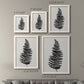 Size comparison chart for a set of two white barnwood framed canvas prints.