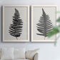Set of two white barnwood framed canvas prints depicting detailed fronds, high-contrast shapes, and lightly textured cream grounds arranged across two complementary compositions above a sofa in a bright living space.