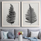 Set of two white barnwood framed canvas prints depicting paired minimalist botanical prints with detailed fronds, high-contrast shapes, and lightly textured cream grounds above a sofa in a contemporary living room.