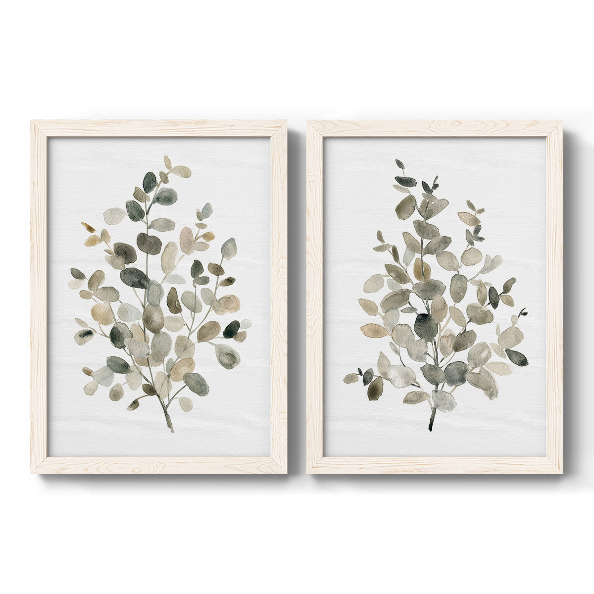 Set of two white barnwood framed canvas prints featuring two minimalist watercolor botanical studies featuring delicate eucalyptus branches with rounded leaves.