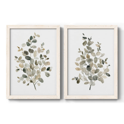 Set of two white barnwood framed canvas prints featuring two minimalist watercolor botanical studies featuring delicate eucalyptus branches with rounded leaves.