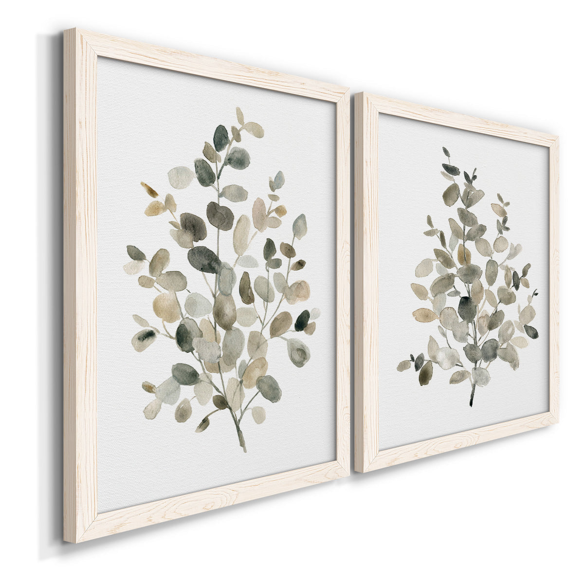 Angled view of a set of two white barnwood framed canvas prints featuring two minimalist watercolor botanical studies featuring delicate eucalyptus branches with rounded leaves.