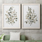 Set of two white barnwood framed canvas prints depicting a coordinated art pair of delicate eucalyptus branches with rounded leaves rendered as minimalist watercolor botanical studies above a sofa in a modern living room.