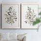 Set of two white barnwood framed canvas prints depicting soft sage gray and muted green leaves on clean white grounds arranged across two complementary compositions above a sofa in a bright living space.
