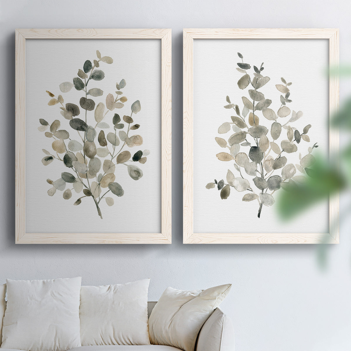 Set of two white barnwood framed canvas prints depicting soft sage gray and muted green leaves on clean white grounds arranged across two complementary compositions above a sofa in a bright living space.