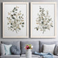 Set of two white barnwood framed canvas prints depicting paired minimalist watercolor botanical studies with soft sage gray and muted green leaves on clean white grounds above a sofa in a contemporary living room.