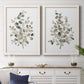 Set of two white barnwood framed canvas prints depicting a coordinated art pair of delicate eucalyptus branches with rounded leaves rendered as minimalist watercolor botanical studies above a dining room sideboard.