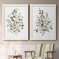 Set of two white barnwood framed canvas prints depicting two minimalist watercolor botanical studies featuring delicate eucalyptus branches with rounded leaves above a sideboard in a cozy sitting room.