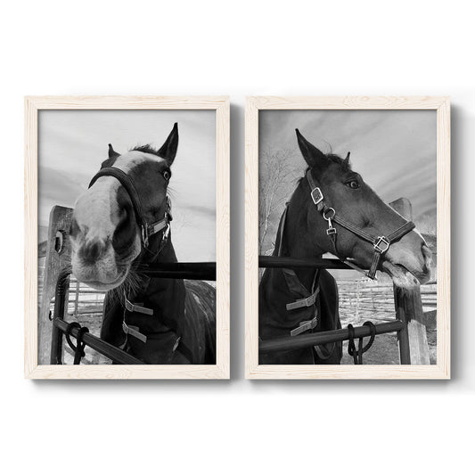 Argenteuil - Barnwood Framed Canvas Set