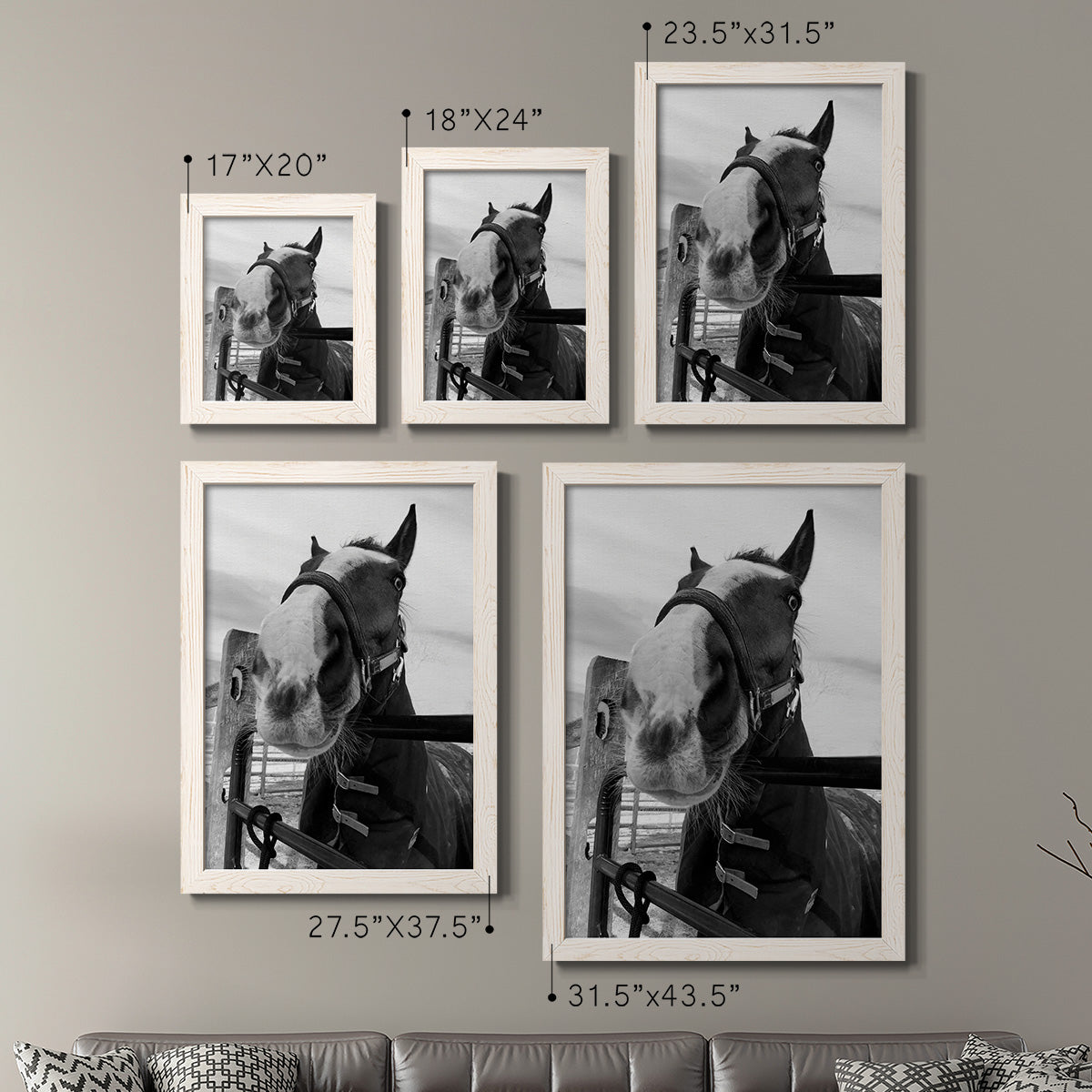 Size comparison chart for a set of two white barnwood framed canvas prints.