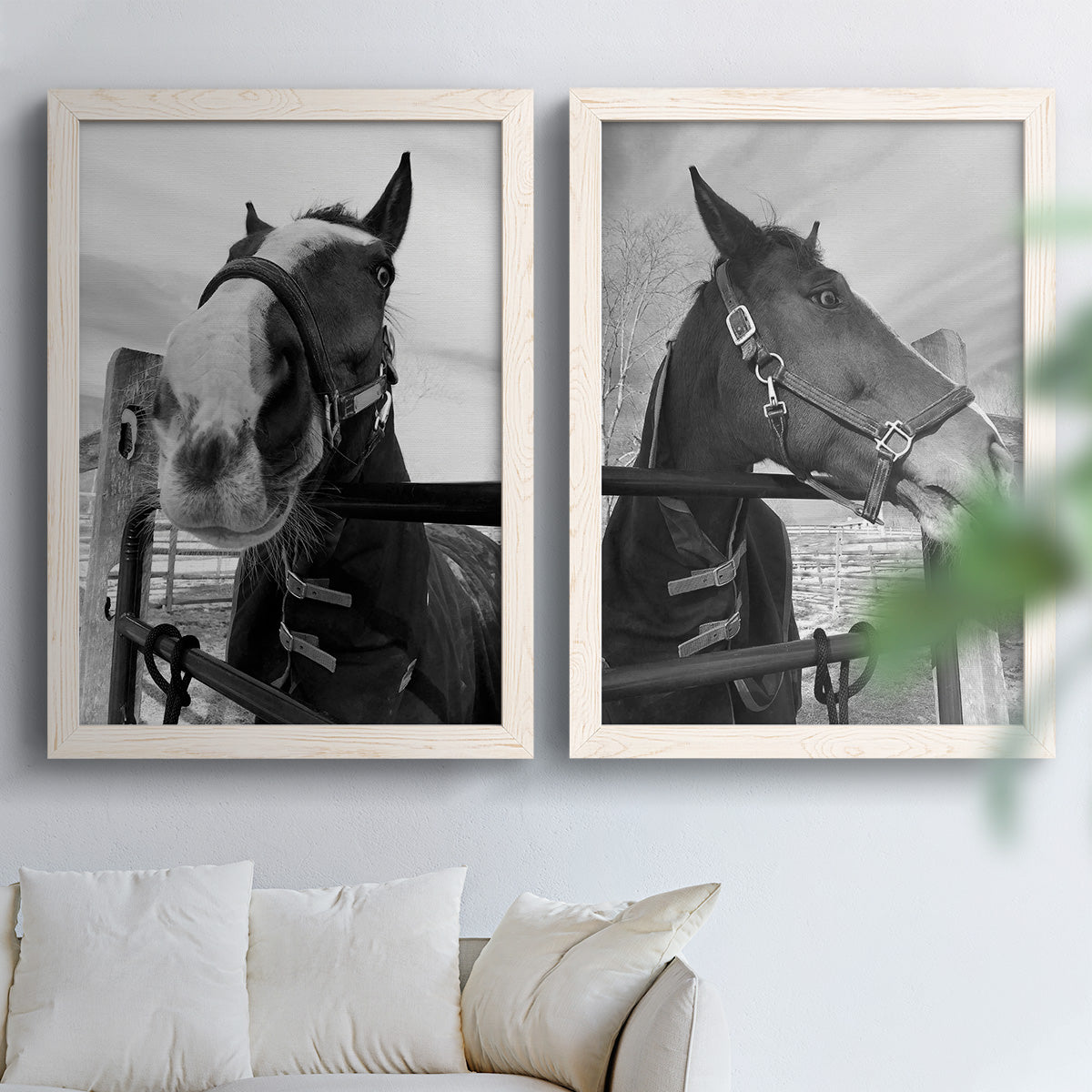 Set of two white barnwood framed canvas prints depicting bridled faces, wooden rails, and softly blurred farm backgrounds arranged across two complementary compositions above a sofa in a bright living space.
