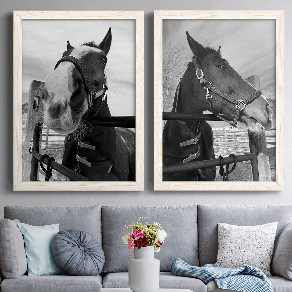 Set of two white barnwood framed canvas prints depicting paired modern equestrian photography with bridled faces, wooden rails, and softly blurred farm backgrounds above a sofa in a contemporary living room.