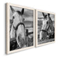 Angled view of a set of two white barnwood framed canvas prints featuring two modern equestrian photography featuring black-and-white close-up portraits of horses at fences.