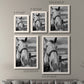 Size comparison chart for a set of two white barnwood framed canvas prints.