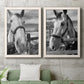 Set of two white barnwood framed canvas prints depicting a coordinated art pair of black-and-white close-up portraits of horses at fences rendered as modern equestrian photography above a sofa in a modern living room.