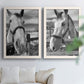 Set of two white barnwood framed canvas prints depicting bridled faces, wooden rails, and softly blurred farm backgrounds arranged across two complementary compositions above a sofa in a bright living space.