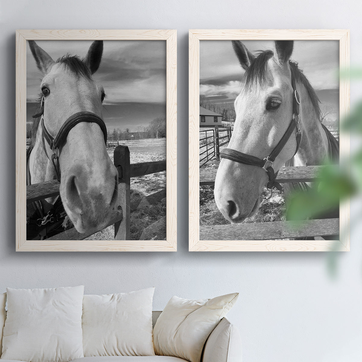 Set of two white barnwood framed canvas prints depicting bridled faces, wooden rails, and softly blurred farm backgrounds arranged across two complementary compositions above a sofa in a bright living space.