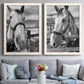 Set of two white barnwood framed canvas prints depicting paired modern equestrian photography with bridled faces, wooden rails, and softly blurred farm backgrounds above a sofa in a contemporary living room.