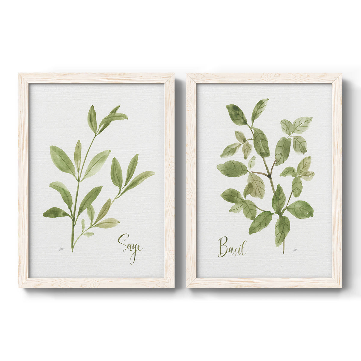 Set of two white barnwood framed canvas prints featuring two farmhouse herb illustrations featuring culinary sage and basil sprigs with handwritten labels.