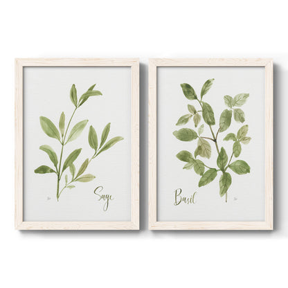Set of two white barnwood framed canvas prints featuring two farmhouse herb illustrations featuring culinary sage and basil sprigs with handwritten labels.