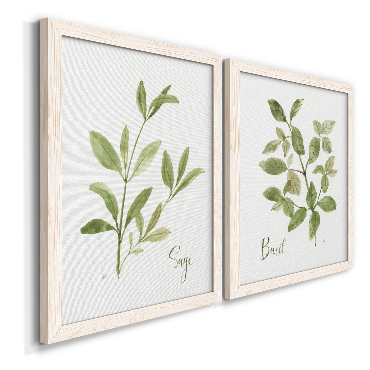 Angled view of a set of two white barnwood framed canvas prints featuring two farmhouse herb illustrations featuring culinary sage and basil sprigs with handwritten labels.