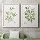 Set of two white barnwood framed canvas prints depicting a coordinated art pair of culinary sage and basil sprigs with handwritten labels rendered as farmhouse herb illustrations above a sofa in a modern living room.