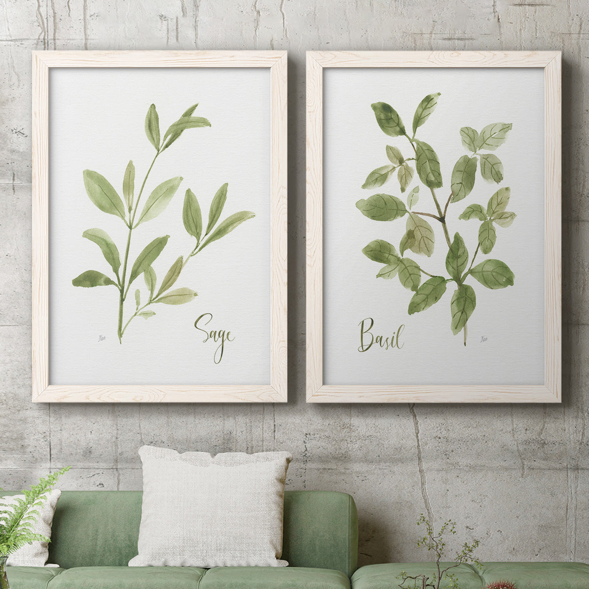 Set of two white barnwood framed canvas prints depicting a coordinated art pair of culinary sage and basil sprigs with handwritten labels rendered as farmhouse herb illustrations above a sofa in a modern living room.
