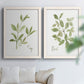 Set of two white barnwood framed canvas prints depicting simple green leaves, fine stems, and clean cream grounds arranged across two complementary compositions above a sofa in a bright living space.