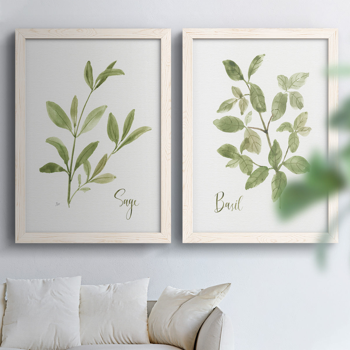 Set of two white barnwood framed canvas prints depicting simple green leaves, fine stems, and clean cream grounds arranged across two complementary compositions above a sofa in a bright living space.