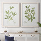 Set of two white barnwood framed canvas prints depicting a coordinated art pair of culinary sage and basil sprigs with handwritten labels rendered as farmhouse herb illustrations above a dining room sideboard.