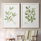 Set of two white barnwood framed canvas prints depicting two farmhouse herb illustrations featuring culinary sage and basil sprigs with handwritten labels above a sideboard in a cozy sitting room.