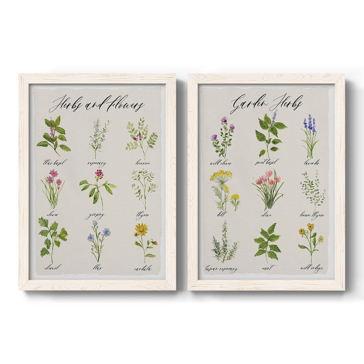 Set of two white barnwood framed canvas prints featuring two farmhouse botanical chart prints featuring labeled collections of culinary herbs and wildflowers.