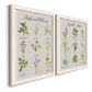 Angled view of a set of two white barnwood framed canvas prints featuring two farmhouse botanical chart prints featuring labeled collections of culinary herbs and wildflowers.
