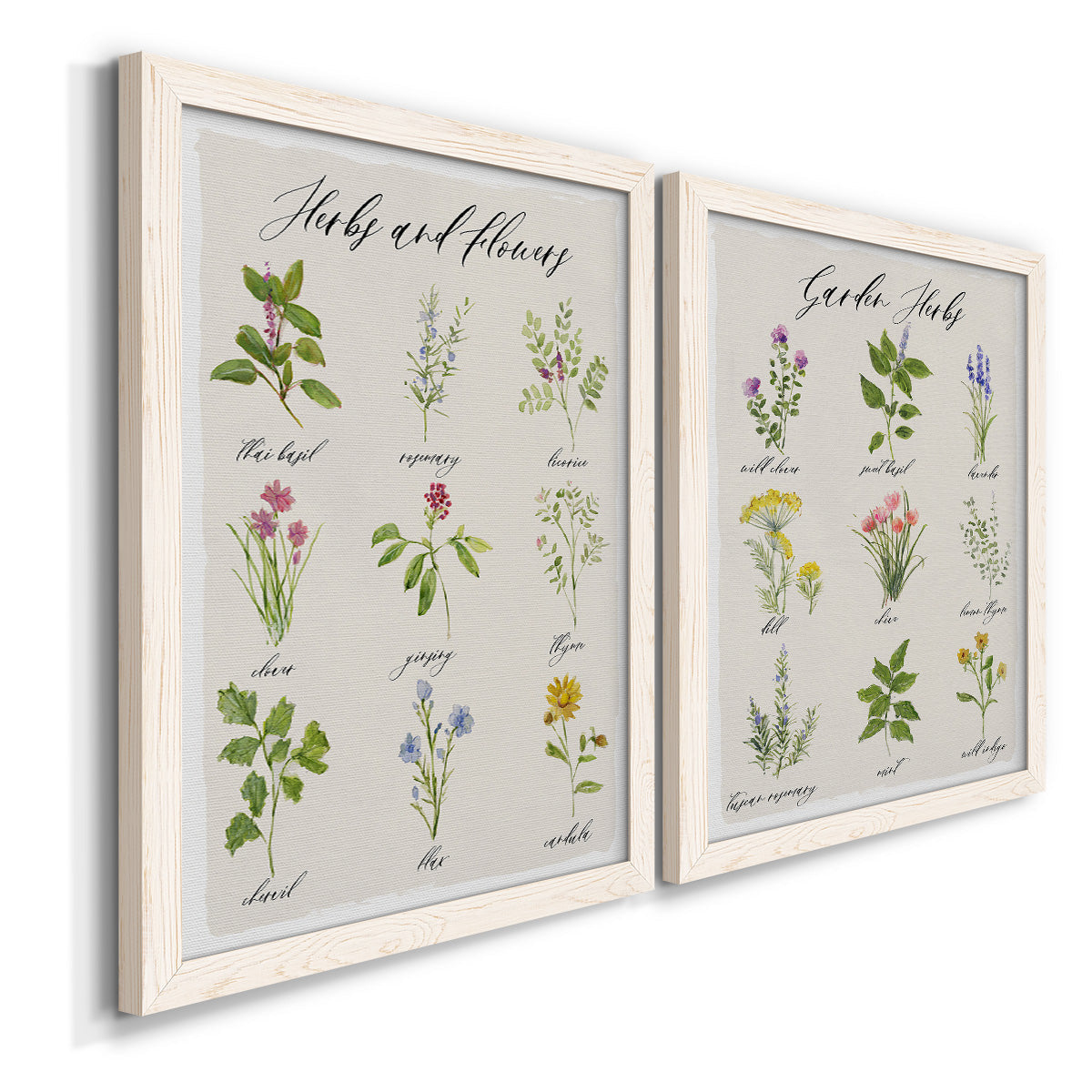 Angled view of a set of two white barnwood framed canvas prints featuring two farmhouse botanical chart prints featuring labeled collections of culinary herbs and wildflowers.