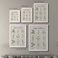 Size comparison chart for a set of two white barnwood framed canvas prints.
