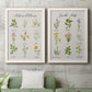 Set of two white barnwood framed canvas prints depicting a coordinated art pair of labeled collections of culinary herbs and wildflowers rendered as farmhouse botanical chart prints above a sofa in a modern living room.