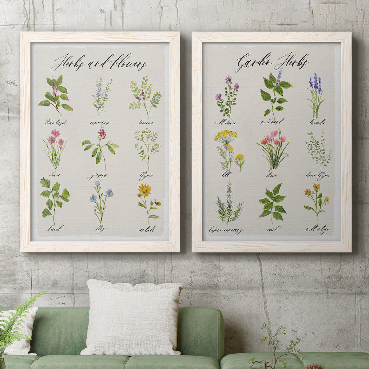 Set of two white barnwood framed canvas prints depicting a coordinated art pair of labeled collections of culinary herbs and wildflowers rendered as farmhouse botanical chart prints above a sofa in a modern living room.