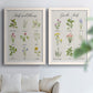 Set of two white barnwood framed canvas prints depicting small illustrated plants, handwritten names, and cream paper arranged across two complementary compositions above a sofa in a bright living space.