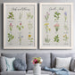 Set of two white barnwood framed canvas prints depicting paired farmhouse botanical chart prints with small illustrated plants, handwritten names, and cream paper above a sofa in a contemporary living room.