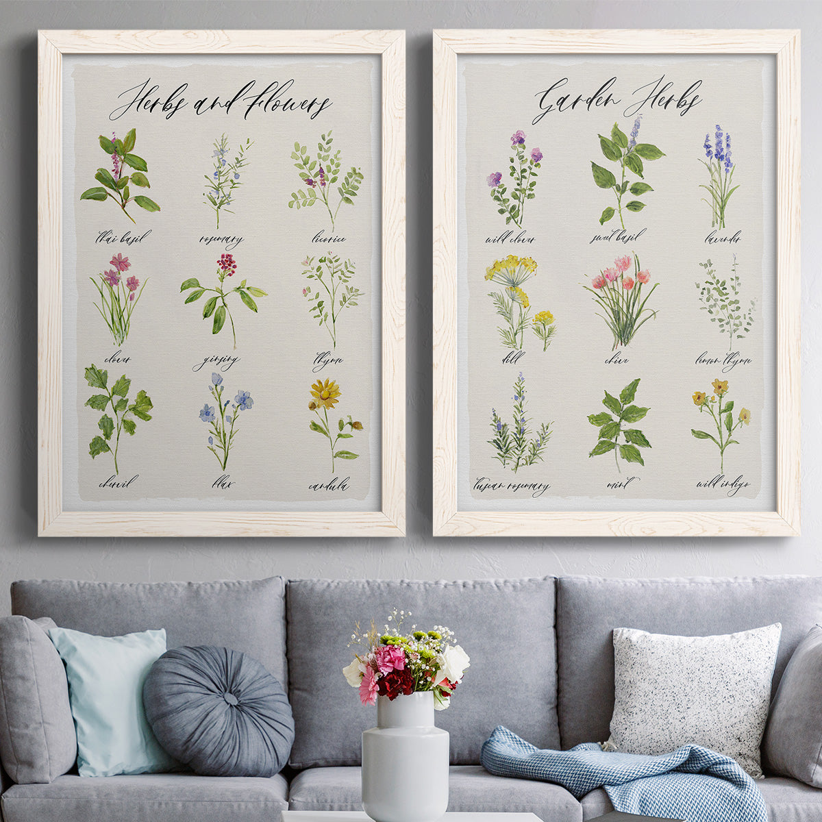 Set of two white barnwood framed canvas prints depicting paired farmhouse botanical chart prints with small illustrated plants, handwritten names, and cream paper above a sofa in a contemporary living room.