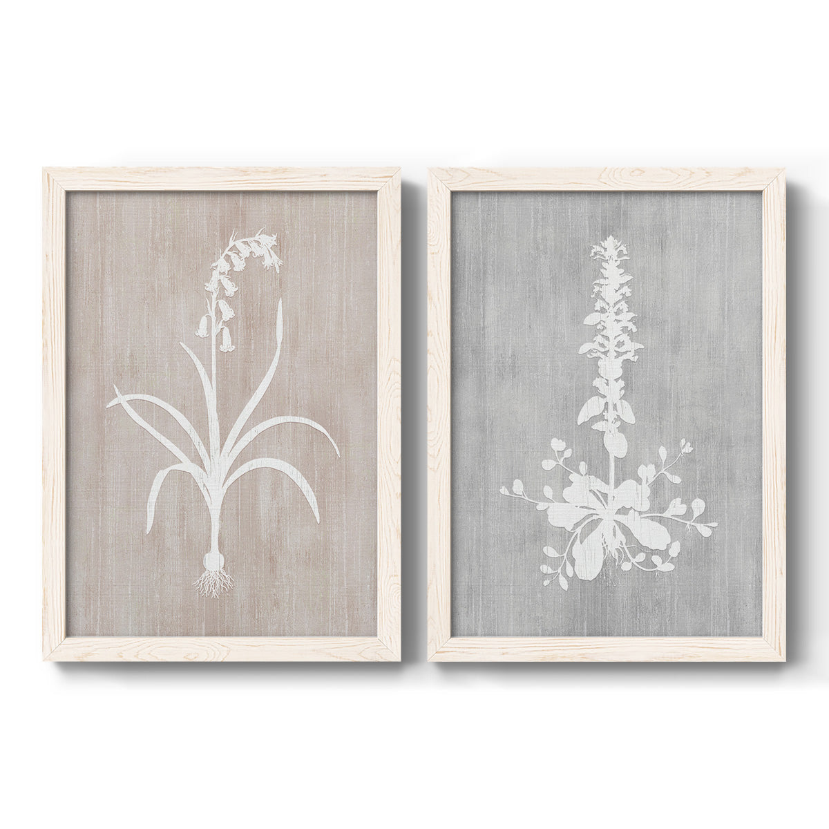 Set of two white barnwood framed canvas prints featuring two rustic minimalist botanical prints featuring white botanical silhouettes on softly weathered neutral backgrounds.
