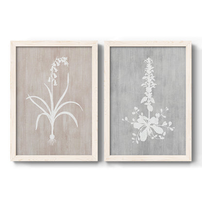 Set of two white barnwood framed canvas prints featuring two rustic minimalist botanical prints featuring white botanical silhouettes on softly weathered neutral backgrounds.