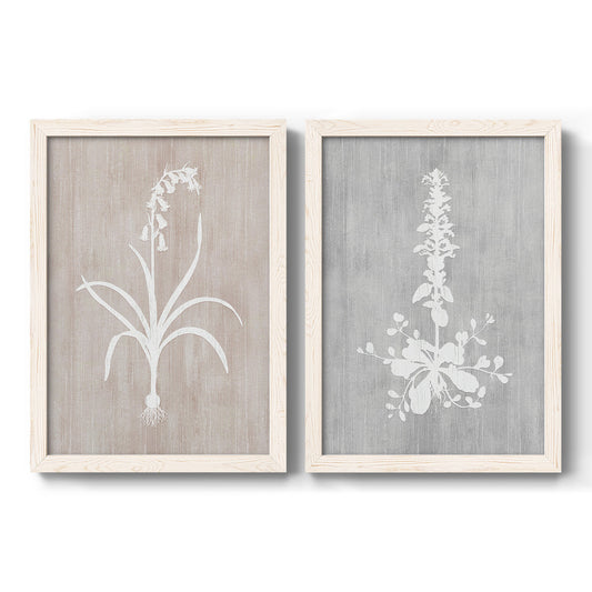 Set of two white barnwood framed canvas prints featuring two rustic minimalist botanical prints featuring white botanical silhouettes on softly weathered neutral backgrounds.
