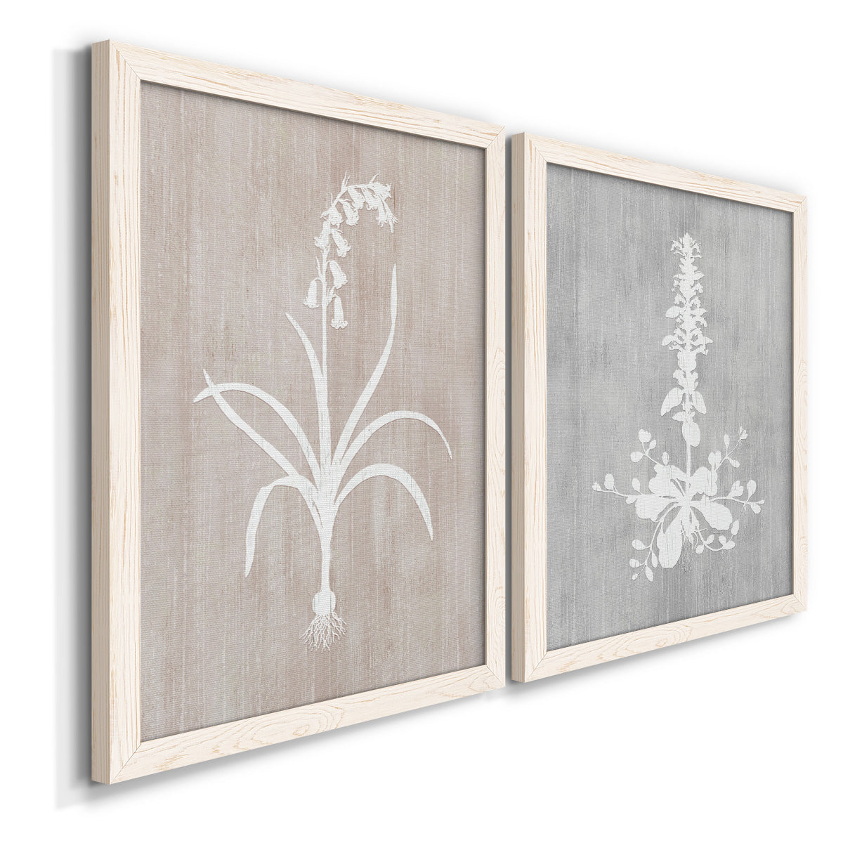 Angled view of a set of two white barnwood framed canvas prints featuring two rustic minimalist botanical prints featuring white botanical silhouettes on softly weathered neutral backgrounds.
