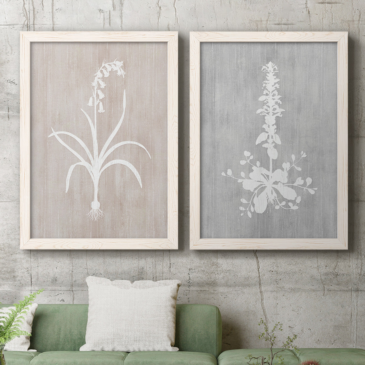 Set of two white barnwood framed canvas prints depicting a coordinated art pair of white botanical silhouettes on softly weathered neutral backgrounds rendered as rustic minimalist botanical prints above a sofa in a modern living room.