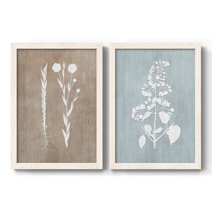 Set of two white barnwood framed canvas prints featuring two rustic minimalist botanical prints featuring white botanical silhouettes on softly weathered neutral backgrounds.