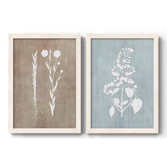 Set of two white barnwood framed canvas prints featuring two rustic minimalist botanical prints featuring white botanical silhouettes on softly weathered neutral backgrounds.