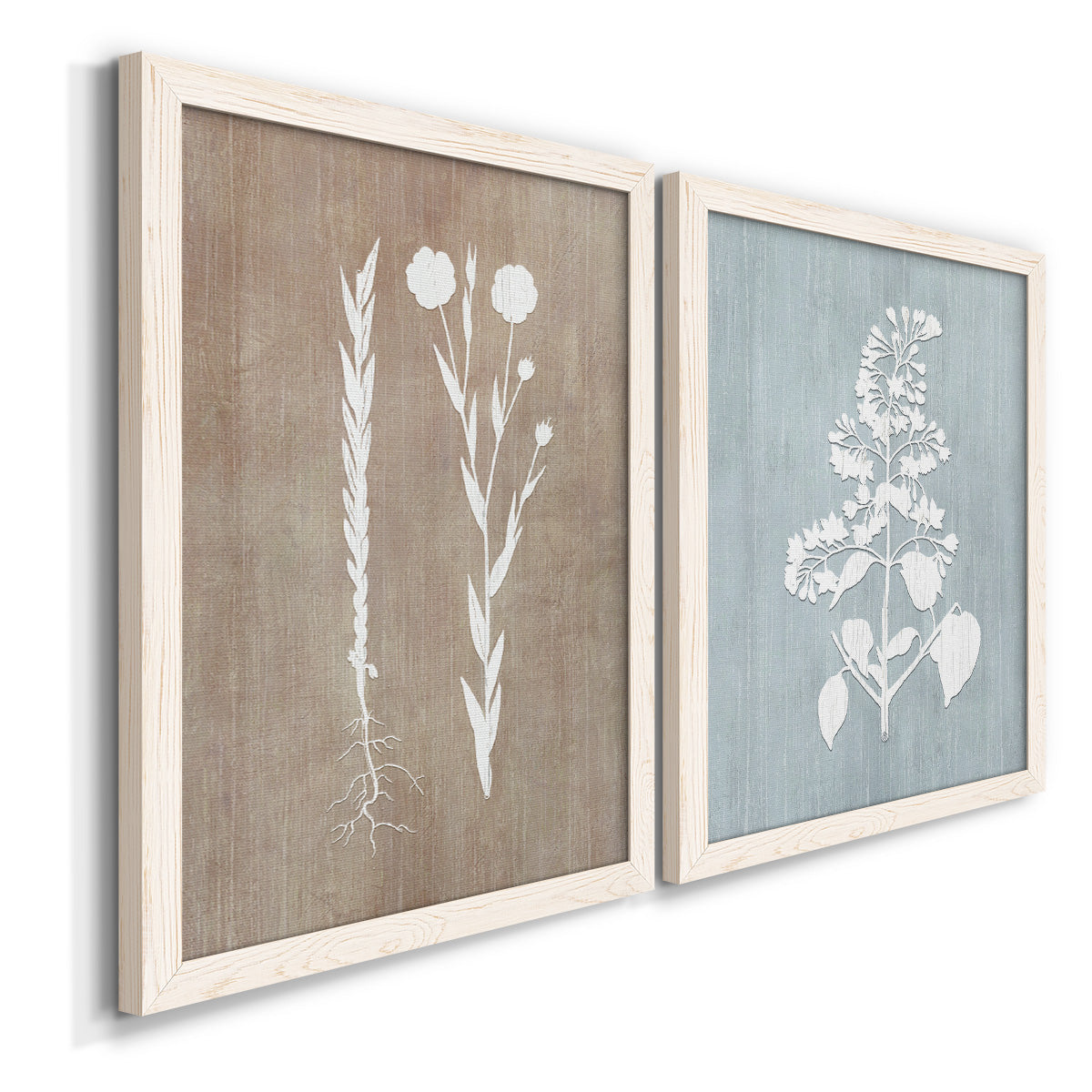 Angled view of a set of two white barnwood framed canvas prints featuring two rustic minimalist botanical prints featuring white botanical silhouettes on softly weathered neutral backgrounds.