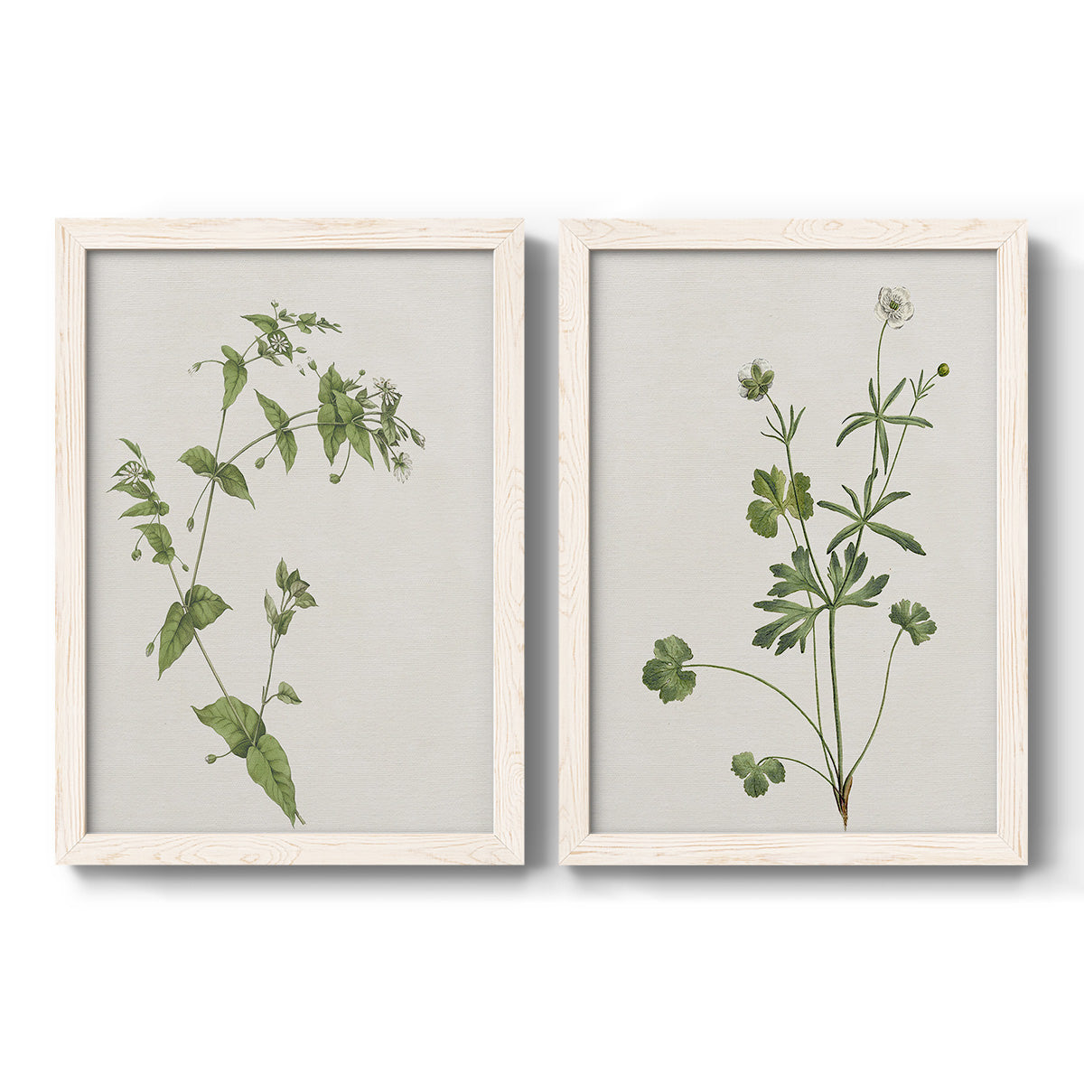 Set of two white barnwood framed canvas prints featuring two rustic minimalist botanical studies featuring delicate wildflower and leafy stems.