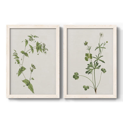 Set of two white barnwood framed canvas prints featuring two rustic minimalist botanical studies featuring delicate wildflower and leafy stems.